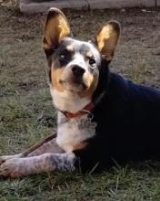 Profile picture for user hk36c