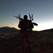 Profile picture for user Saimade