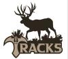 Profile picture for user Tracks Hunting